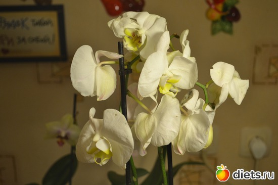 5 ����: ��� ���������