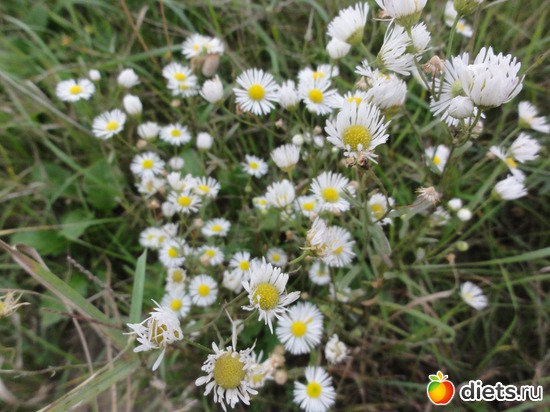 30 ����: �����