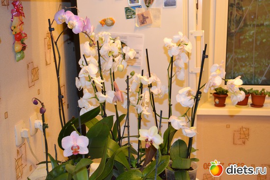 9 ����: ��� ���������