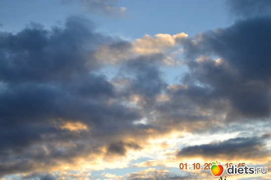 1 ����: �������