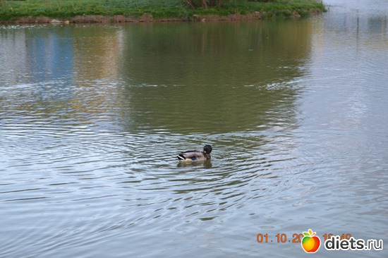 3 ����: �������