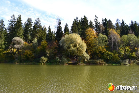 5 ����: �������