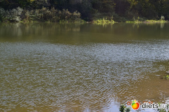 6 ����: �������