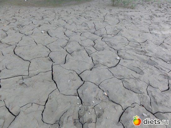 39 ����: �������