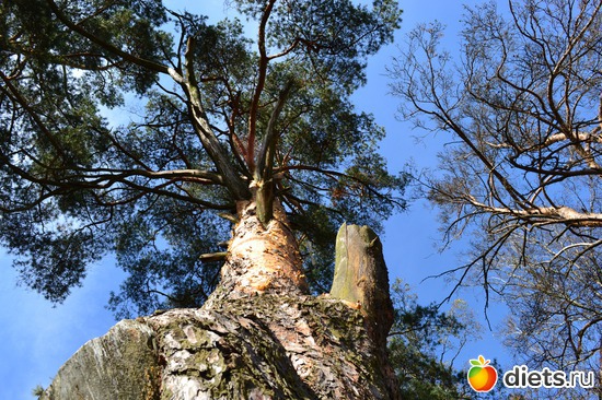 8 ����: �������