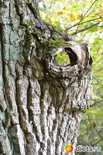 10 ����: �������