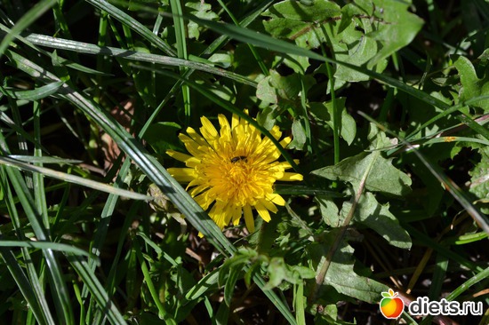 1 ����: �����