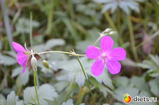 3 ����: �����