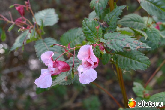 6 ����: �����