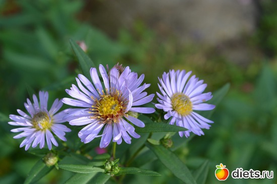 7 ����: �����