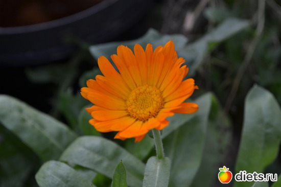 8 ����: �����