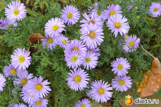 10 ����: �����