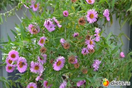 11 ����: �����