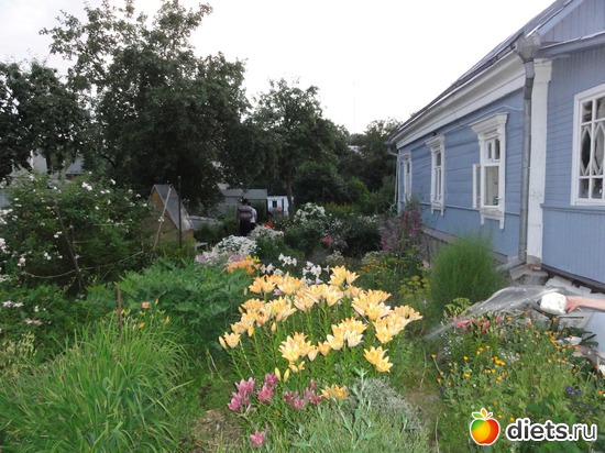 17 ����: �����