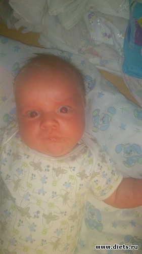 28 ����: ��� �����