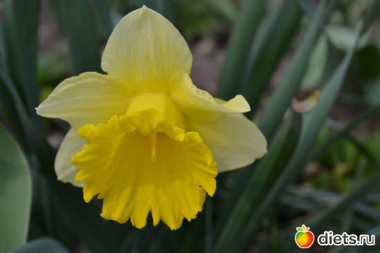 19 ����: �����