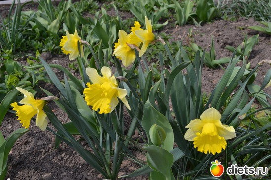 20 ����: �����