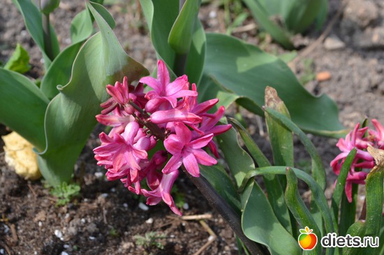 21 ����: �����