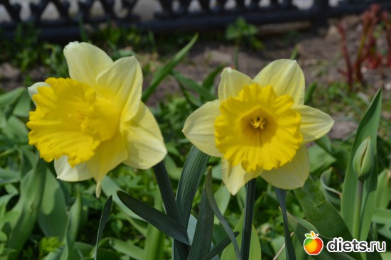 22 ����: �����