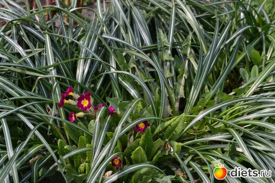 23 ����: �����