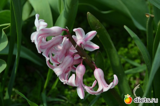 25 ����: �����