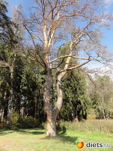 11 ����: �������