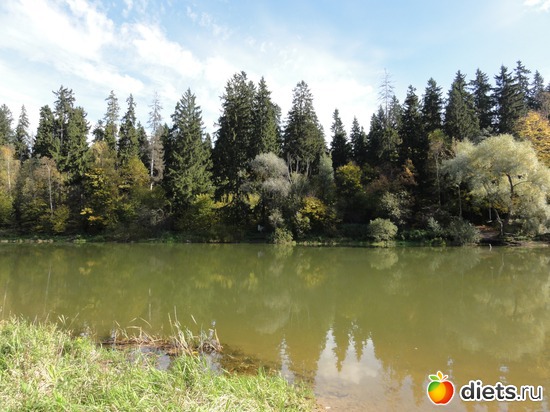 12 ����: �������