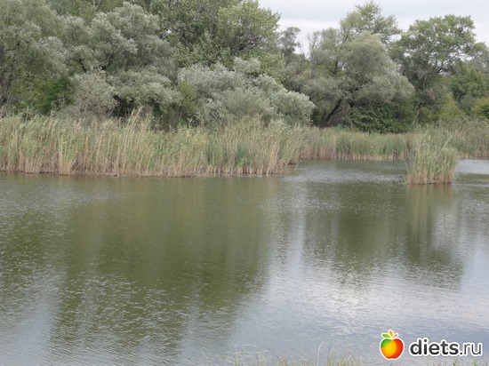 13 ����: �������