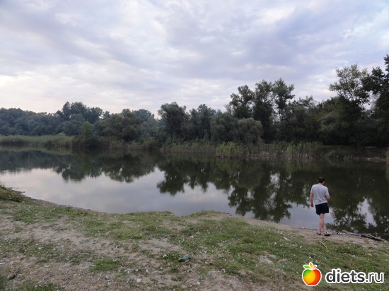 15 ����: �������