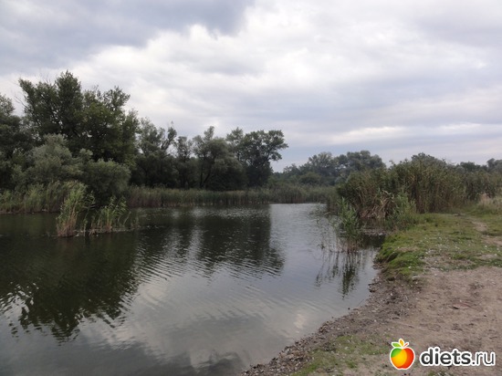 17 ����: �������