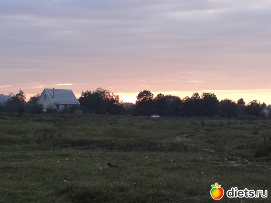 18 ����: �������