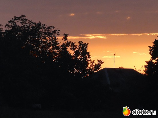 19 ����: �������