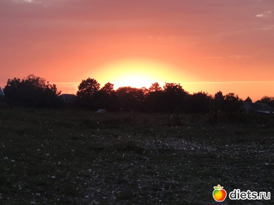 20 ����: �������