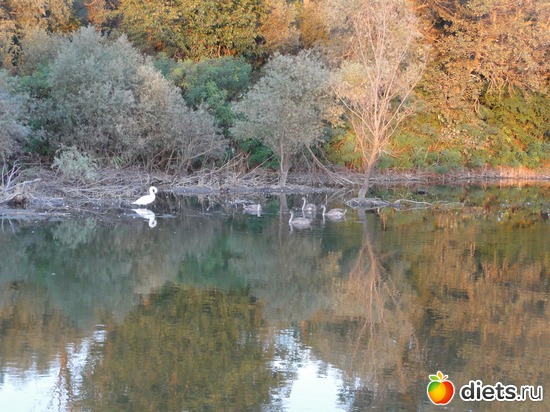 21 ����: �������