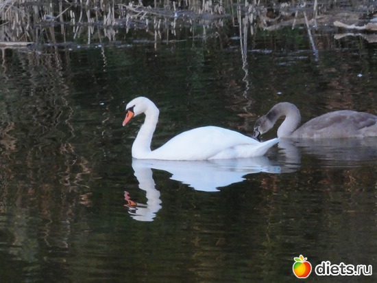 23 ����: �������