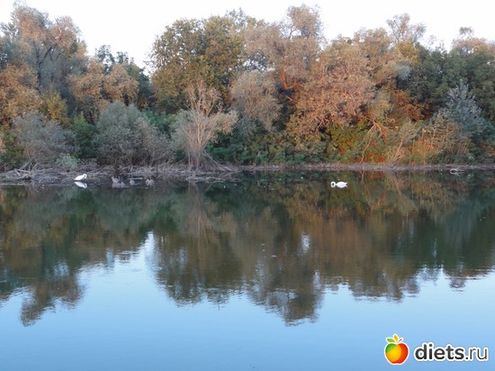 24 ����: �������