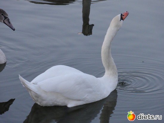 25 ����: �������