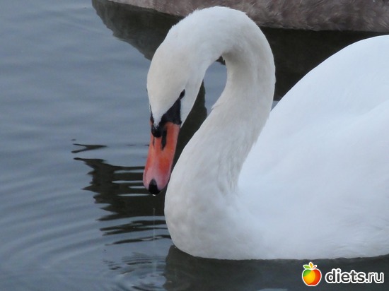 27 ����: �������