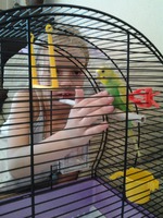 А у нас появился Чича, новый член семьи