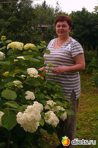 2 ����: � � �������� 10 �� 8 ���� 2013