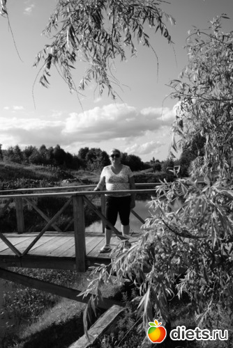 17 ����: ����� ��. ���������� 06.07.013.