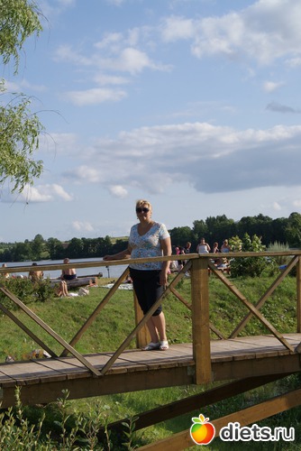 31 ����: ����� ��. ���������� 06.07.013.