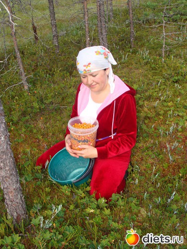 Моя любимая ягода!, альбом: За морошкой