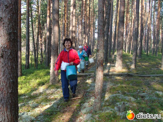 Мы идем на болото., альбом: За морошкой