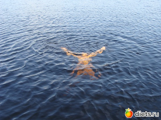 Прозрачность болотного озера!, альбом: За морошкой