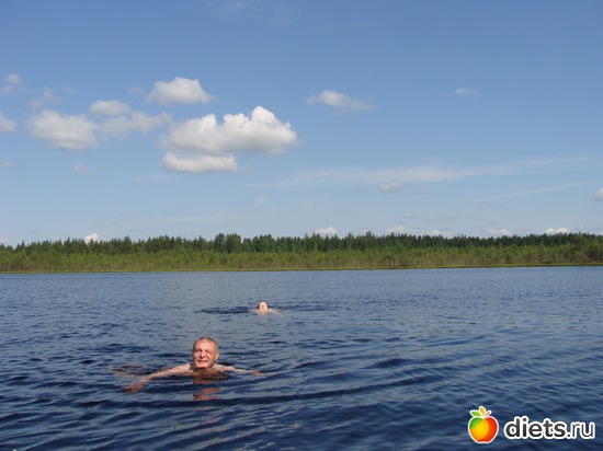 22 фото: За морошкой