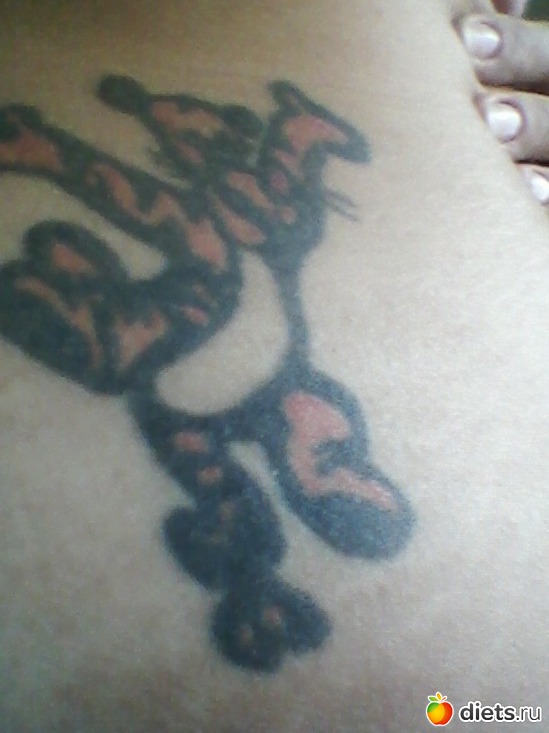 � 4, ������: ������...