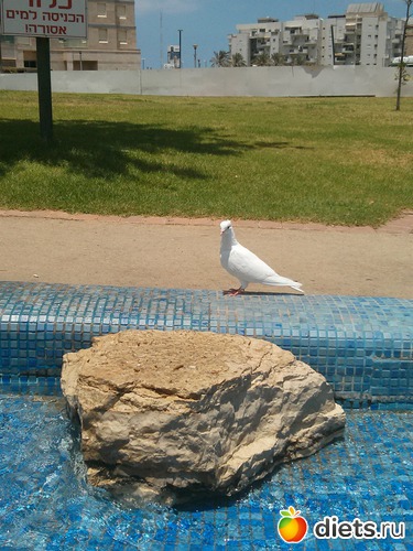 Городской парк, альбом: Мой город