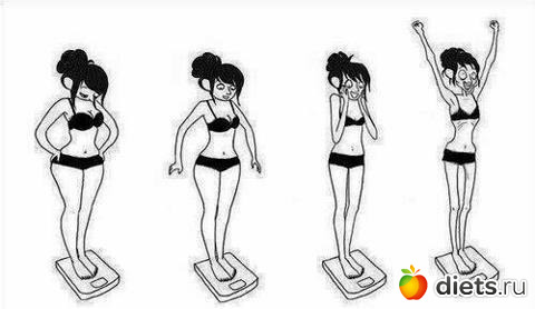 �����������-�������������