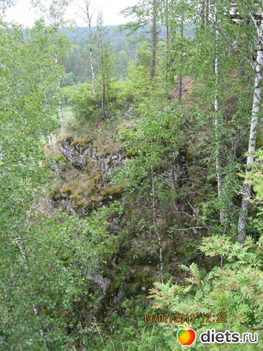 31 ����: ������ �����